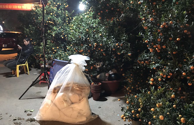 Trắng đêm ngồi co ro đốt củi sưởi ấm để canh đào, quất, hoa Tết